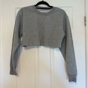 Grey cropped crewneck sweater. Unknown brand, slightly worn, in good condition.